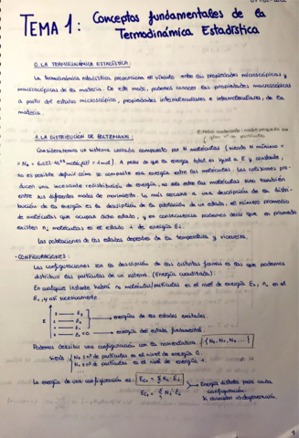 Temas-1-y-2-Conceptos-fundamentales-de-termodinamica-estadisticas.pdf