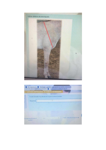 EXAMEN-ETNOLOGIA.pdf