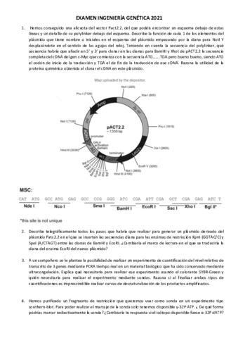 EXAMEN-INGENIERIA-GENETICA-2021.pdf