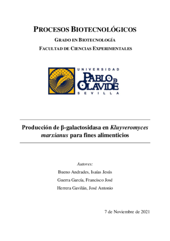 Proyecto-Final.pdf