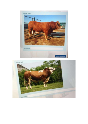 2-EXAMEN-ETNOLOGIA.pdf