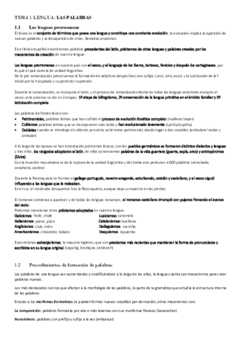 TEMA-1-LENGUA-las-palabras.pdf