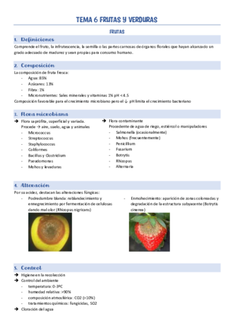 TEMA-6-FRUTAS-Y-VERDURAS.pdf