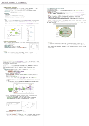 Nutricion-celular-2.pdf
