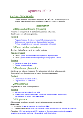 Celulas.pdf