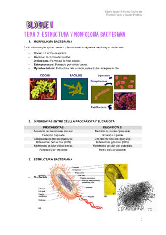 TEMARIO-MICRO.pdf