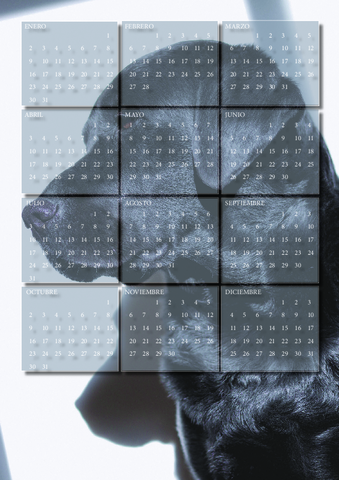 11-Calendario-con-tabulaciones.pdf