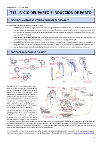 T12.pdf