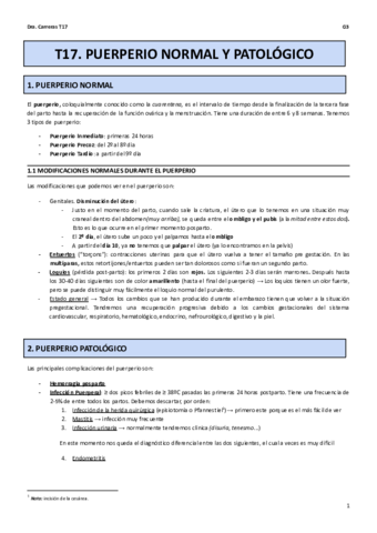 T17.pdf