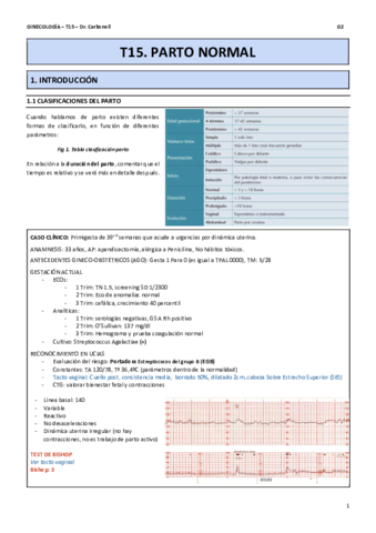 T15.pdf