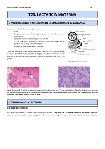 T20-3.pdf