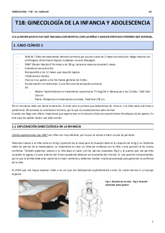 T18.pdf