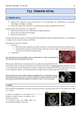 T11-Terapia-fetal.pdf