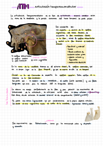 PARCIAL1-Preguntas-Desarrollo.pdf