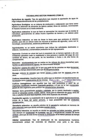 vocabulario-t8.pdf