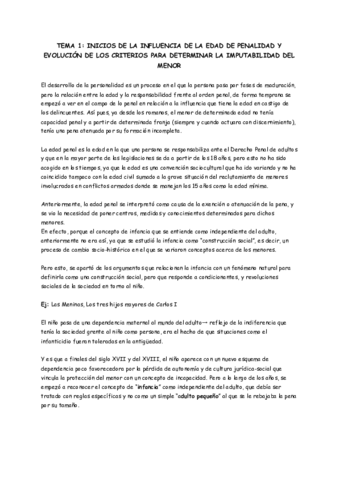 DERECHO-PENAL-DEL-MENOR.pdf