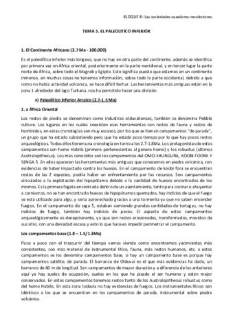 TEMA 5 El Paleolitico Inferior +.pdf