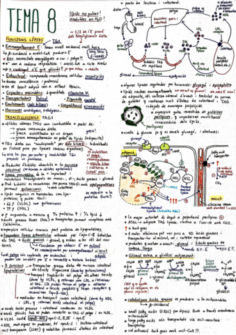 Bioquimica-Resum-Tema-8.pdf