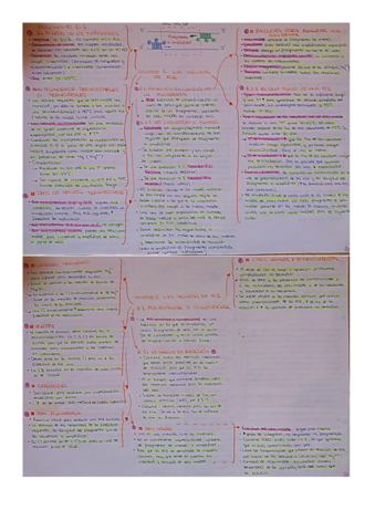 PCR-esquema-resumen.pdf