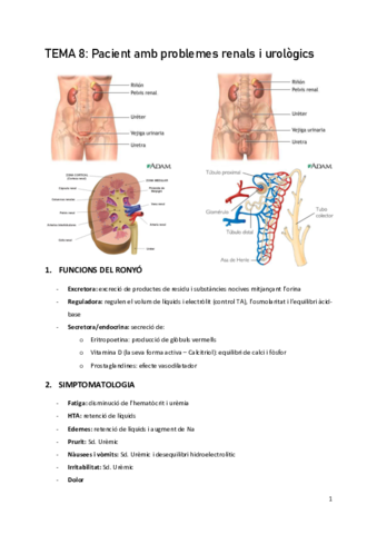 Tema-8-Nefro-urinari.pdf