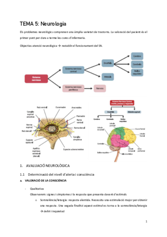 Tema-5-Neuro.pdf