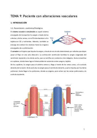 Tema-9-Vascular.pdf