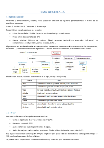 Tema-10-CPA-I.pdf
