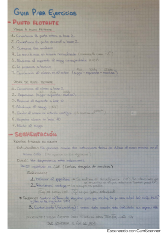 Guia-ejercicios-segmentacion-y-punto-flotante.pdf