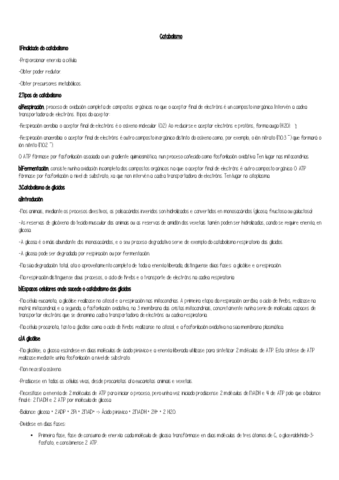Catabolismo.pdf