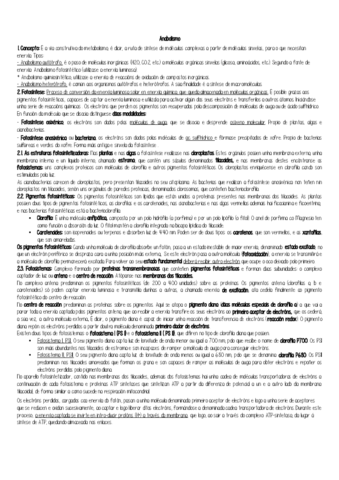 Anabolismo-.pdf