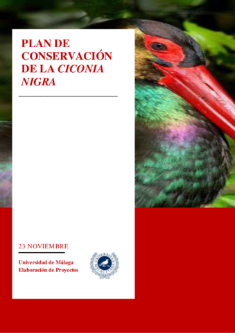 Plan-de-conservacion-de-la-Ciconia-Negra-1.pdf