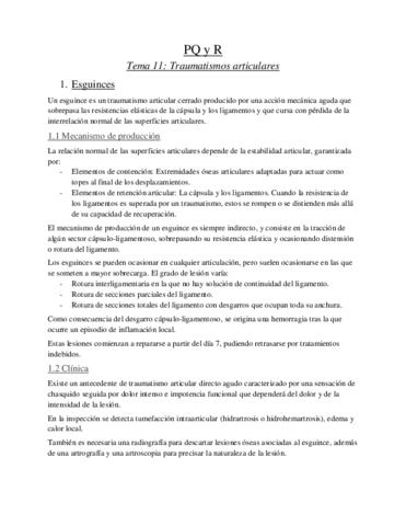 PQ-y-R-11.pdf