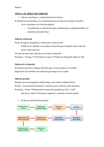 TEMA-6.pdf