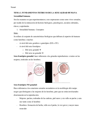 TEMA-1-TSYP.pdf
