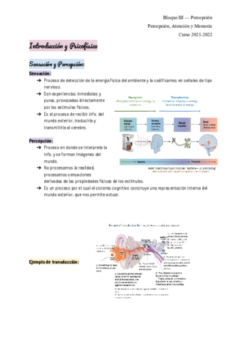 percepcionintroypsicofisica.pdf