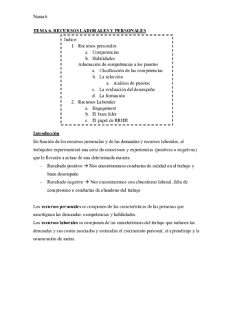 TEMA-6.pdf
