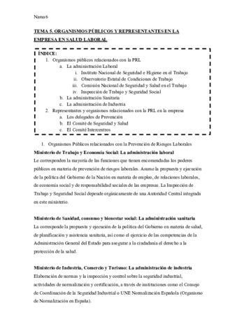 TEMA-5.pdf