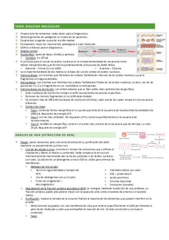 Biologia-molecular.pdf