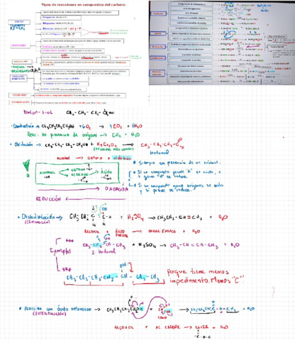 02590BD9-0353-4FA6-B76E-7DCE44F4E641.pdf
