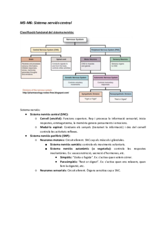 M5-M6-Sistema-nervios-central.pdf