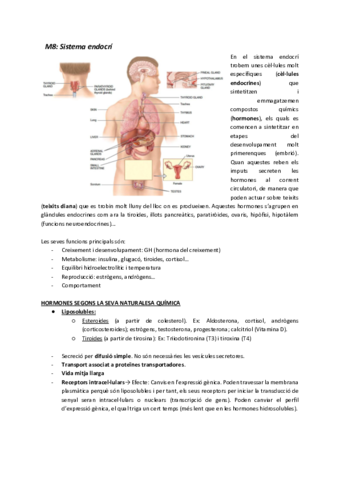 M8-Sistema-endocri.pdf