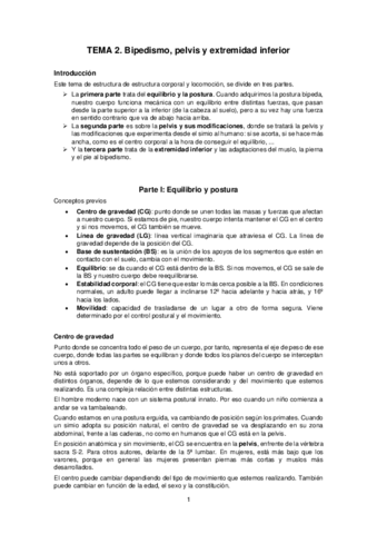 Tema-2.pdf