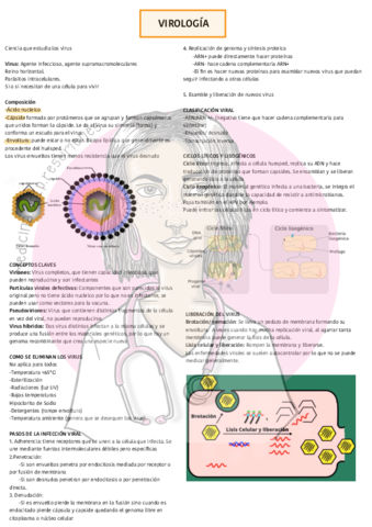 Virologiawatermark.pdf