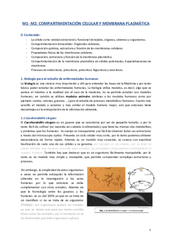 M1-espanol.pdf