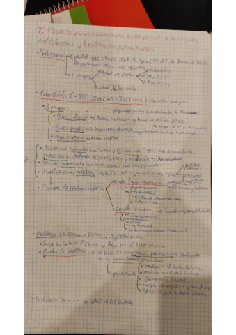 bloque-I-historia.pdf