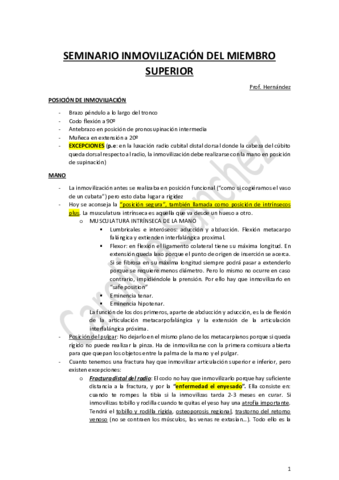 SEMINARIO-INMOVILIZACION-DEL-MIEMBRO-SUPERIOR.pdf