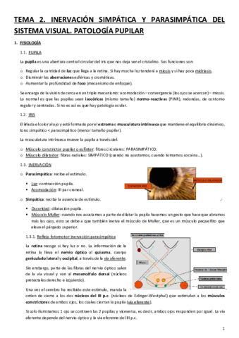 TEMA-2.pdf