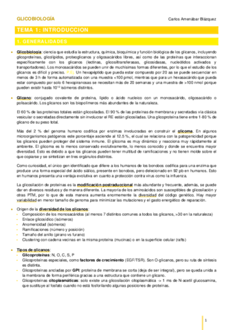 TEMA-1Introduccion.pdf