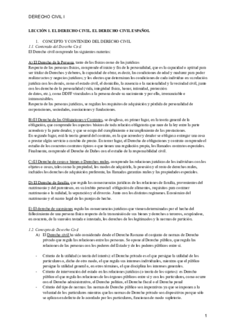 Derecho-Civil-I-RESUMEN-FINAL.pdf