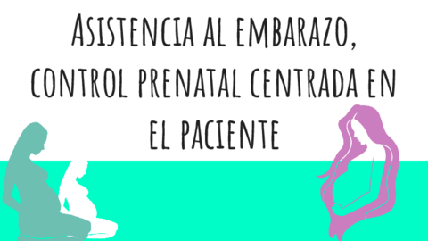 Asistencia-al-embarazo-control-prenatal-centrada-en-el-paciente.pdf